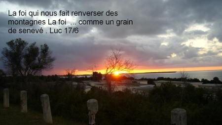  La foi comme un grain de moutarde bonjour Bienvenue