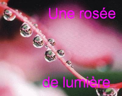 Une ros�e de lumi�re bonjour Bienvenue 