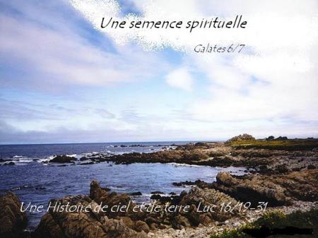 Semence spirituelle bonjour 