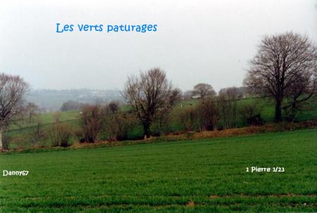 Les verts paturages bienvenue