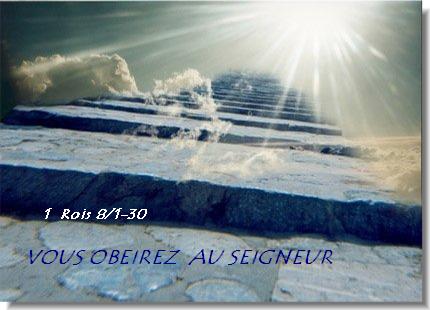 VOUS OBEIREZ  bienvenue