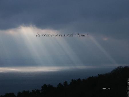 A la rencontre du r�ssucit� bienvenue