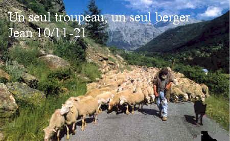 un seul troupeau , un seul berger bienvenue