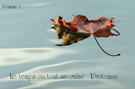  Le temps ou tout se calme : l'automne  bienvenue