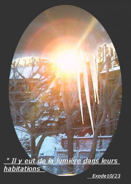 La lumi�re dans ce monde bienvenue