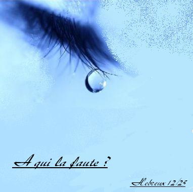 A qui la faute ? bienvenue 